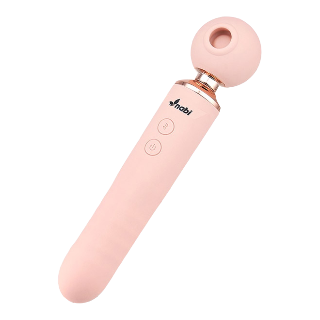 ºñ³Ê½º ÈíÂø Áøµ¿