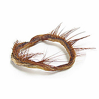 ����ǰ�����